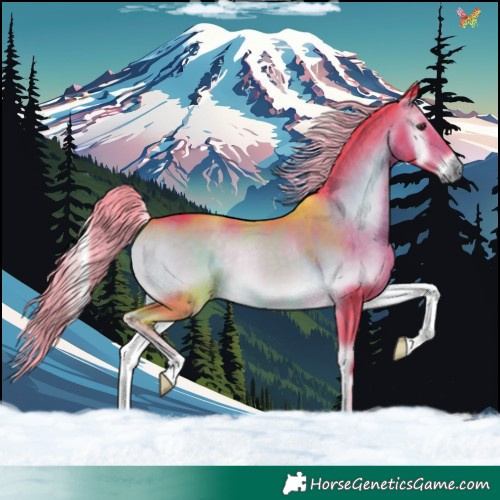 Horse Color:Watercolor Chocolate Palomino Onyx 