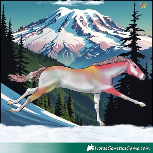 Horse Color:Watercolor Chocolate Palomino Onyx 