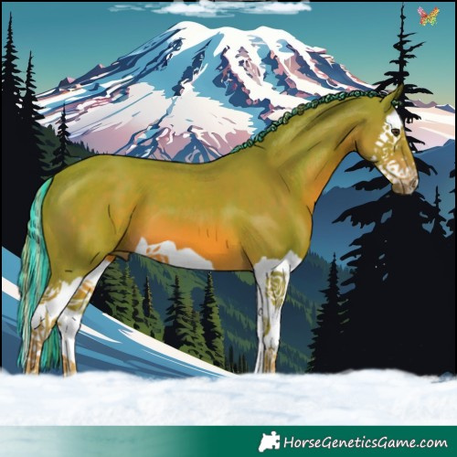 Horse Color:Painted Watercolor Chestnut Splash