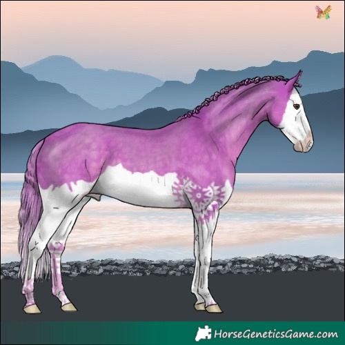 Horse Color:Watercolor Liver Chestnut Splash 
