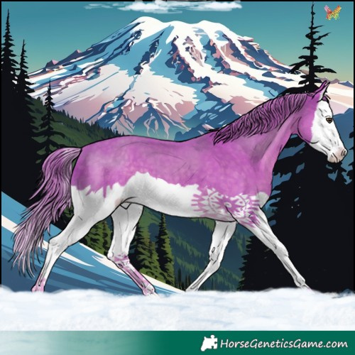 Horse Color:Watercolor Liver Chestnut Splash 