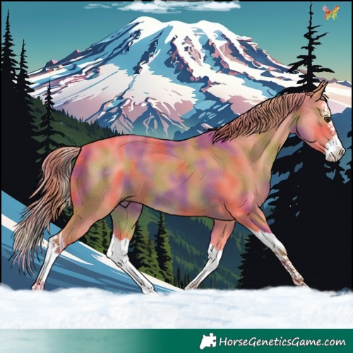 Horse Color:Nacre Watercolor Liver Chestnut Splash 