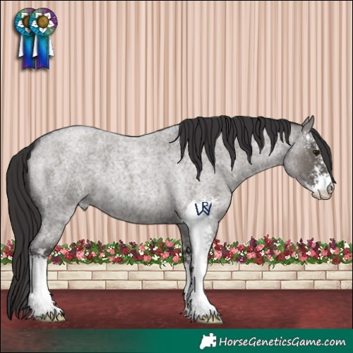 Horse Color:Smoky Grullo Roan Sabino