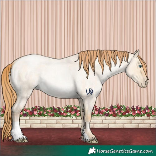 Horse Color:Smoky Grullo Roan Pearl 