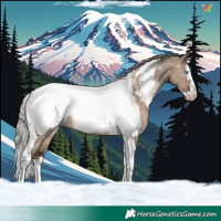 Horse Color:Silver Brown Dun Splash Tobiano Appaloosa