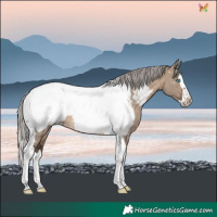 Horse Color:Silver Brown Dun Splash Tobiano Near Fewspot