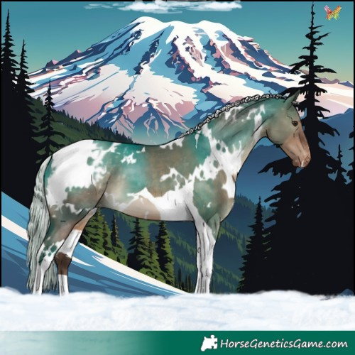 Horse Color:White Spotted Silver Brown Dun Tobiano Varnish
