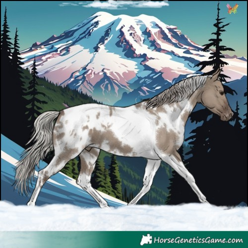 Horse Color:White Spotted Silver Grullo Tobiano Blanket 