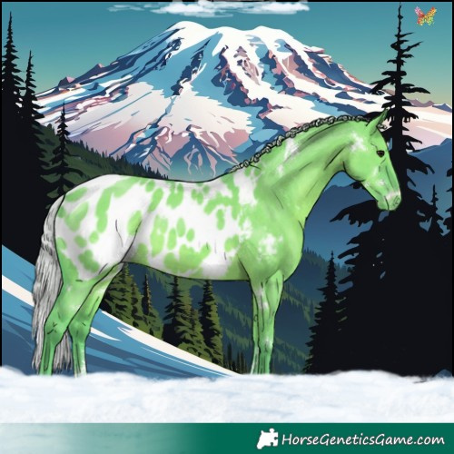 Horse Color:Watercolor White Spotted Silver Grullo Sabino Appaloosa Rabicano 