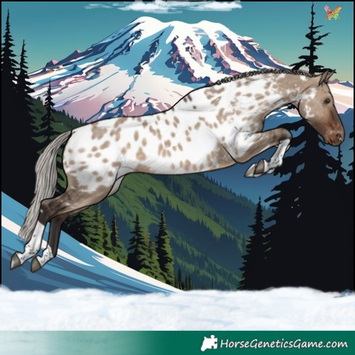 Horse Color:White Spotted Silver Brown Dun Tobiano Appaloosa Rabicano 