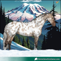Horse Color:White Spotted Silver Brown Dun Tobiano Near Leopard Rabicano 