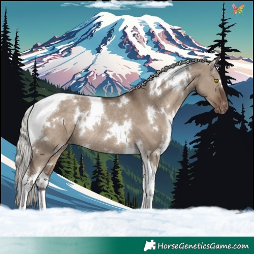 Horse Color:White Spotted Silver Grullo Tobiano Appaloosa Rabicano 