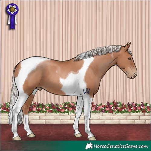 Horse Color:Silver Black Pearl Tobiano
