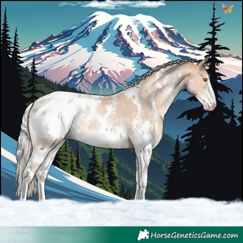 Horse Color:White Spotted Silver Classic Champagne Dun Sabino Blanket 
