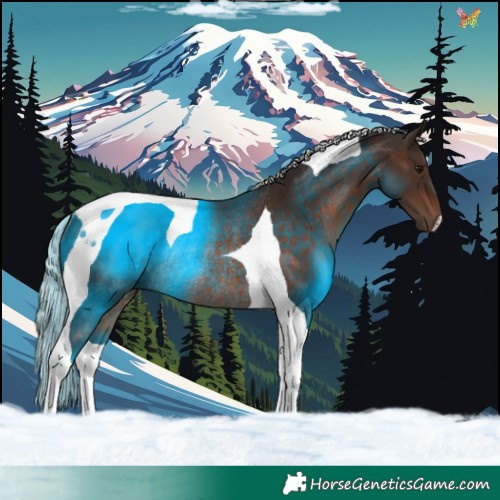 Horse Color:Silver Brown Tobiano Rabicano