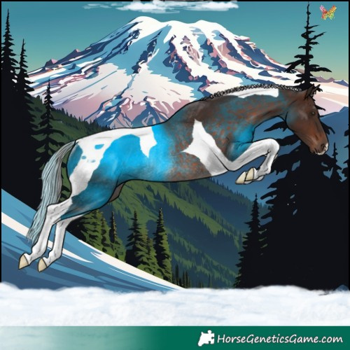 Horse Color:Silver Brown Tobiano Rabicano