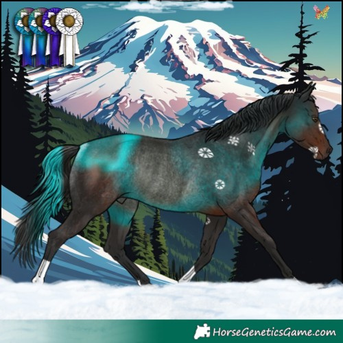 Horse Color:Liver Chestnut Rabicano