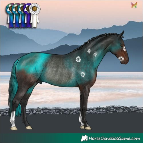 Horse Color:Liver Chestnut Rabicano