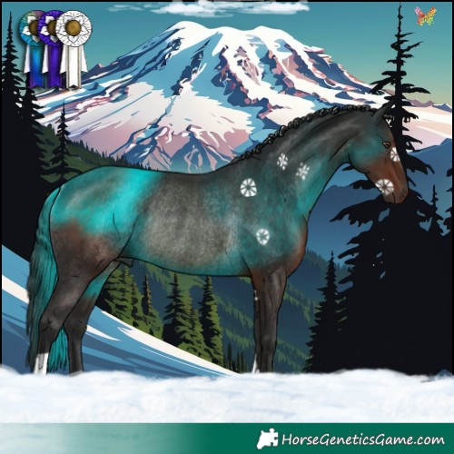Horse Color:Liver Chestnut Rabicano