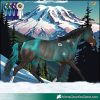 Horse Color:Liver Chestnut Rabicano