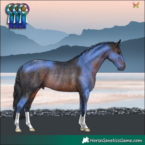 Horse Color:Brown Rabicano 