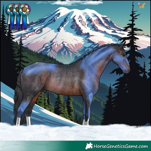 Horse Color:Brown Rabicano 