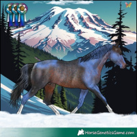 Horse Color:Brown Rabicano