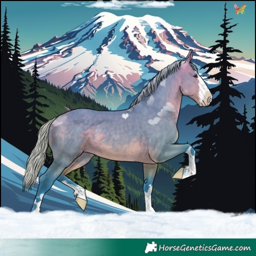 Horse Color:Watercolor Silver Buckskin Dun