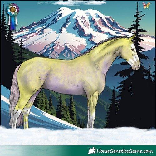 Horse Color:Watercolor Liver Chestnut Splash