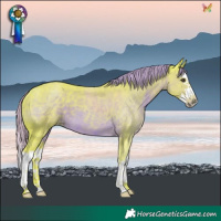 Horse Color:Watercolor Liver Chestnut Splash