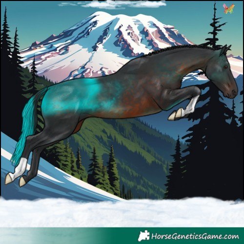 Horse Color:Brown 