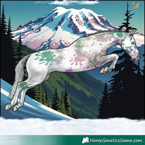 Horse Color:Watercolor White Spotted Silver Brown Splash 