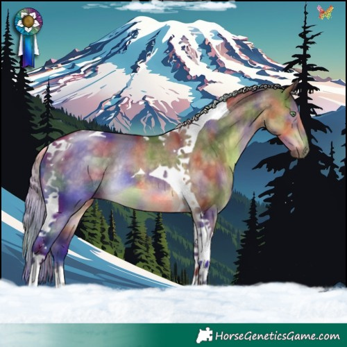 Horse Color:Nacre Chocolate Silver Buckskin Dun Tobiano Rabicano 