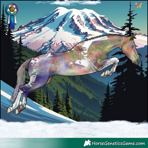 Horse Color:Nacre Chocolate Silver Buckskin Dun Tobiano Rabicano 