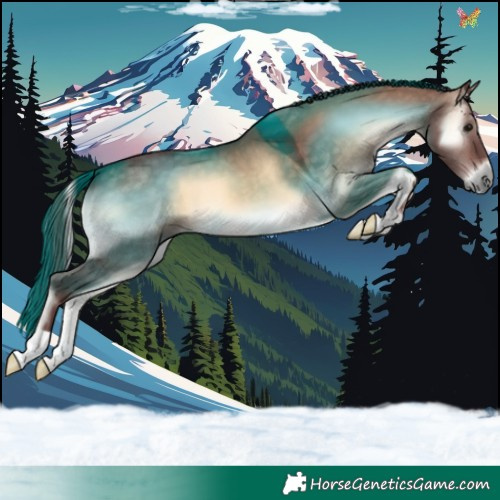 Horse Color:Chocolate Brown Onyx 