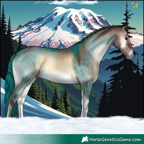 Horse Color:Chocolate Brown Onyx