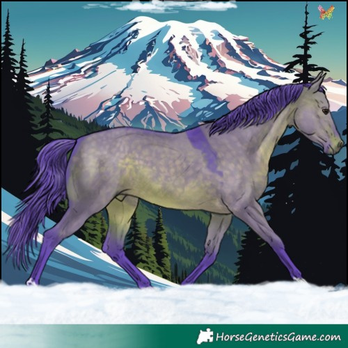 Horse Color:Watercolor Brown Dun 