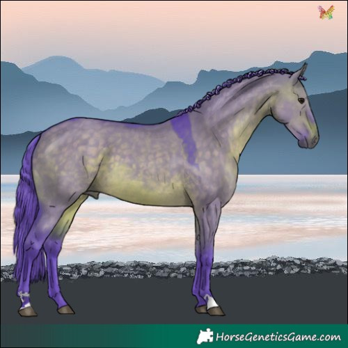 Horse Color:Watercolor Brown Dun 