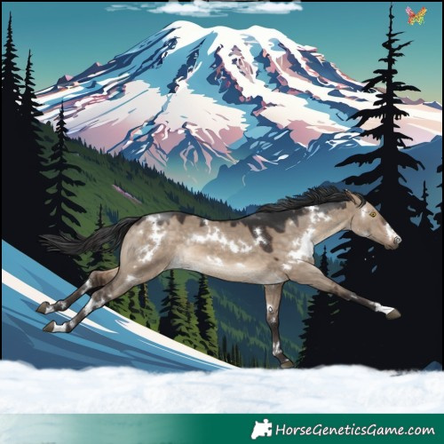 Horse Color:White Spotted Brown Dun 