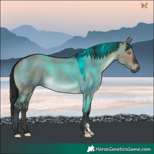Horse Color:Brown Dun 
