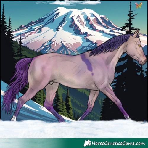 Horse Color:Watercolor Bay Dun 