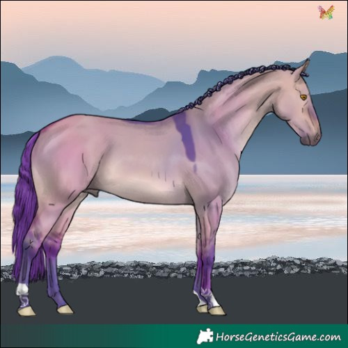 Horse Color:Watercolor Bay Dun 