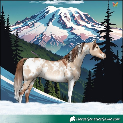 Horse Color:White Spotted Red Dun Rabicano