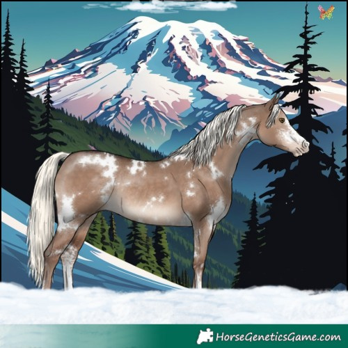 Horse Color:White Spotted Liver Red Dun Mushroom Sabino Rabicano