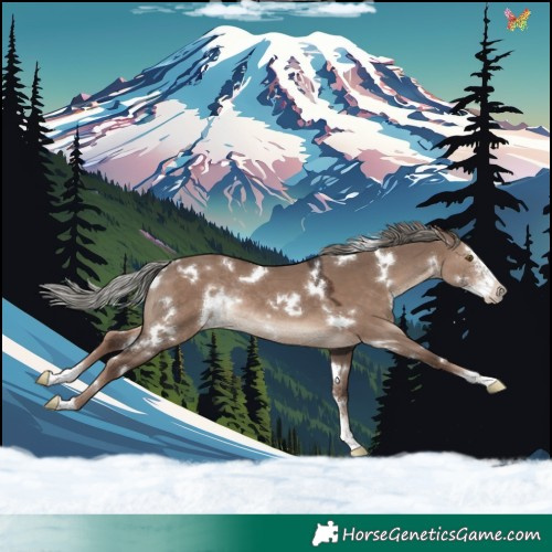 Horse Color:White Spotted Liver Red Dun Mushroom Sabino Rabicano 