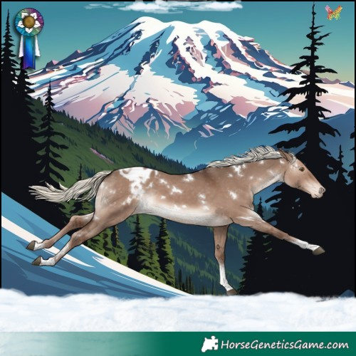 Horse Color:White Spotted Liver Red Dun Mushroom Tobiano Appaloosa