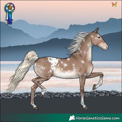Horse Color:White Spotted Liver Red Dun Mushroom Tobiano Varnish