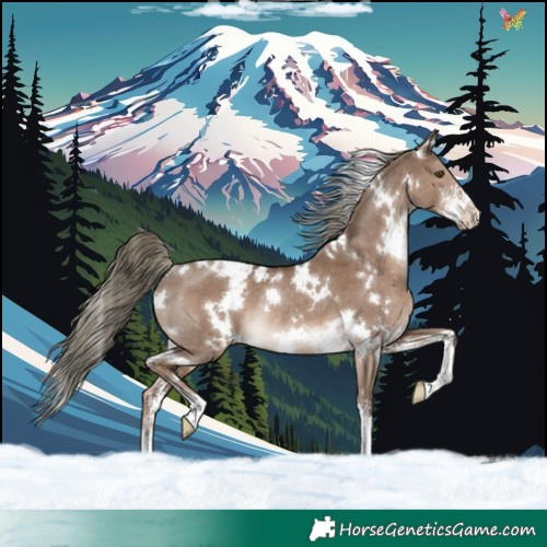 Horse Color:White Spotted Liver Red Dun Mushroom Sabino Appaloosa Rabicano 