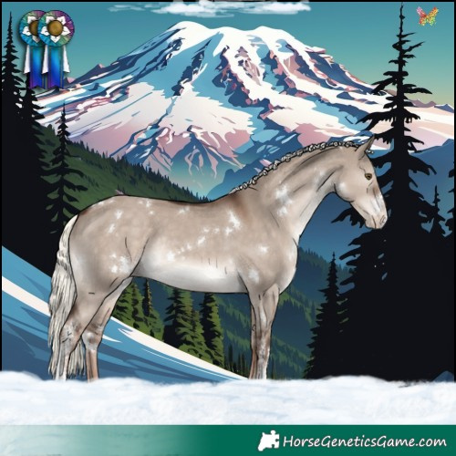 Horse Color:White Spotted Liver Red Dun Mushroom Sabino Appaloosa Rabicano