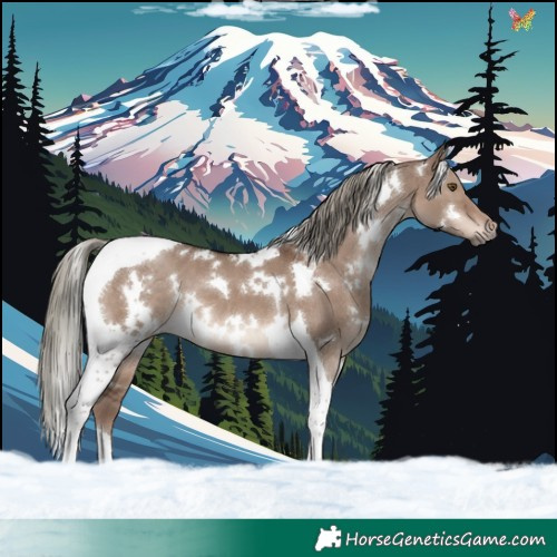Horse Color:White Spotted Liver Red Dun Mushroom Tobiano 